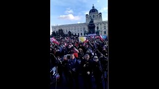 🇦🇹Viena demonstrații pentru liberalizarea lockdown și a restricțiilor actuale 16 ianuarie 2021❗️ [upl. by Cassondra]