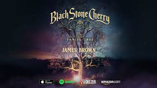 Black Stone Cherry  James Brown  Family Tree Official Audio [upl. by Nauaj978]