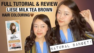 LIESE Milk Tea Brown Hair Colour🤎 Full Tutorial amp Review  Cara Cat Rambut Sendiri [upl. by Massimiliano986]