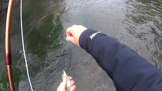 Fly Fishing Slovakia  Dry Fly fishing Hron River with Klinkhammers [upl. by Atoked782]