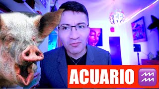 ACUARIO ♒️ no es AMOR al CHANCHO  si no al CHICHARON 😱 interés al dinero [upl. by Malo]