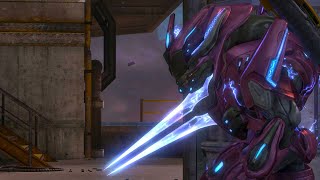 Sangheili Field Marshal  Devoted Sentries [upl. by Ecinert]