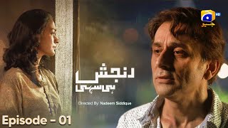 Ranjish Hi Sahi Episode 01 HD  Sana Javed  Maya Ali  Samiya Khawar Faisal Rehman  Har Pal Geo [upl. by Koblas]