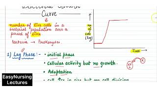 Bacterial Growth Curve in Hindi  Microbiology [upl. by Annert]