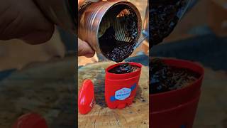 Waterproof Fire Starter From Vaseline and Wood Shavings survival camping lifehacks [upl. by Niriam]