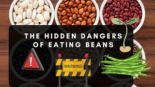 The Hidden Dangers of Eating Beans [upl. by Eerahc]