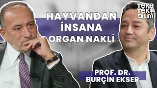 Hayvandan insana organ nakli  Prof Dr Burçin Ekser amp Fatih Altaylı  Teke Tek Bilim [upl. by Fosdick766]