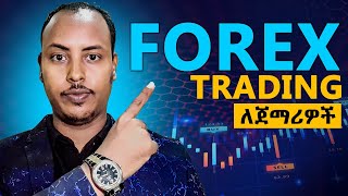 Forex Trading በአማርኛ ለጀማሪዎች  Make money on Forex Trading in Amharic Ethiopia  Biruk INFO [upl. by Lusty913]