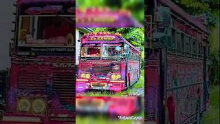 කොහොමද රැජිනගෙ ලස්සන 😘😍damrajina busvideo bus [upl. by Lali]