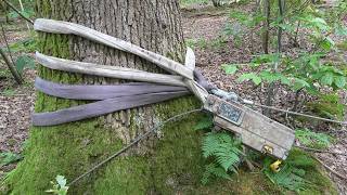 Removing a Fallen Oak Branch Using a Winch [upl. by Gimpel451]