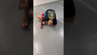 Submissions From Mount jiujitsu grappling bjj mma combatsport ufc martialarts nogi tapout [upl. by Araiek]