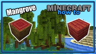 How to Find Grow and Use the Mangrove Tree 119  Easy Minecraft Tutorial [upl. by Ahron]