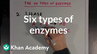 Six types of enzymes  Chemical Processes  MCAT  Khan Academy [upl. by Birch]