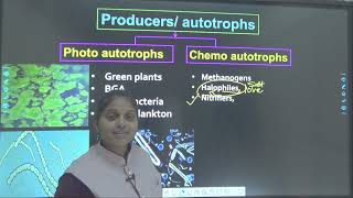 Deference Between Photoautotrophs and Chemoautotrophs [upl. by Lorelie]