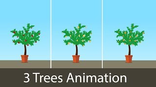 2D Growing Plant Animation  After Effects Template 🌳🌳🌳 [upl. by Afira]