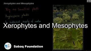 Xerophytes and Mesophytes Biology Lecture  Sabaqpk [upl. by Llig]