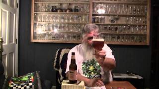 Beer Review 65 Dogfish Head 90 Minute IPA [upl. by Nnylav]