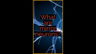 ❓ What are mirror neurons❓ [upl. by Champaigne]