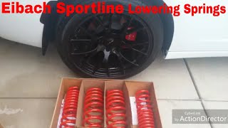 Getting The Eibach Lowering Springs Put On The Charger RT Part 1 [upl. by Natsud]