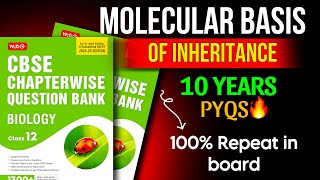 CBSE Class 12 Molecular Basis of Inheritance PYQs 202425  Most Important Questions amp Solutions [upl. by Robbie]