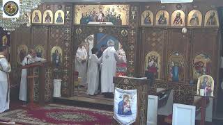 St George Coptic Orthodox Church in Maryland Live Stream [upl. by Brownson]