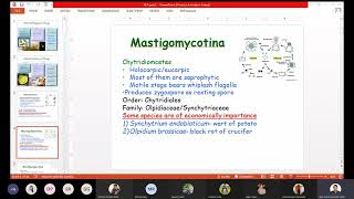 Classification of fungi  Anisworth Classification  Kingdom Fungi Classification  ABCDOPZ [upl. by Juliano]