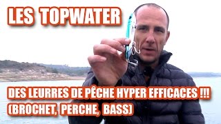 Les TOPWATER des leurres de pêche HYPER EFFICACES  brochet perche bass [upl. by Socha355]