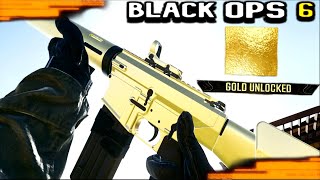 UNLOCKED GOLD CAMO For the DM 10 Black Ops 6 BO6 Multiplayer Gameplay [upl. by Johannes]