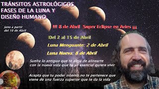 🌕🌑SUPER ECLIPSE 8 DE ABRIL 🐛🦋 MOMENTO DE METAMORFOSEARSE DEL EGO AL SER 🐣🦅HACIA UNA NUEVA VIDA🌍🚀 [upl. by Terrena]