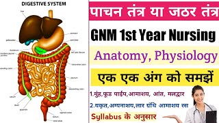 सबसे आसान  Digestive System or Gastric System  Anatomy Physiology  GNM 1st Year  NursingGyan [upl. by Dlaregztif]