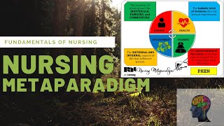 Nursing Metaparadigm  FUNDA [upl. by Kalie]