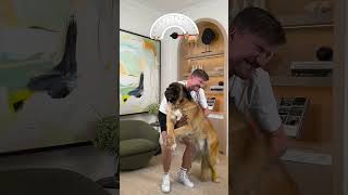 Holding Bigger and Bigger Dogs subscribe please sport mrbeast [upl. by Abbey]