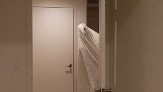 when your roommate is a ghost [upl. by Arabrab]