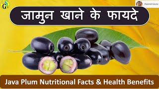 Jamun Nutritional Facts amp Health Benefits  java plum khane ke fayade  Jambolan Bioactive Compounds [upl. by Kimball123]