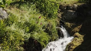 Lirrigation gravitaire par béal en Lozère une pratique ancestrale au patrimoine fragile [upl. by Arty]