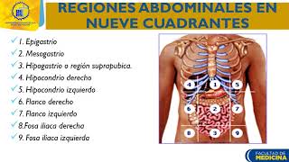 Examen físico de abdomen I Anatomía de abdomen Dra Angélica de Rodríguez [upl. by Yelsgnik879]