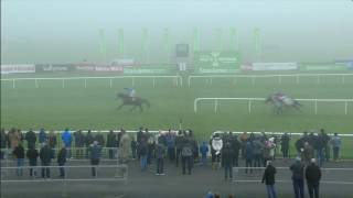 Punchestown Highlights 20th November 2016 [upl. by Libnah703]