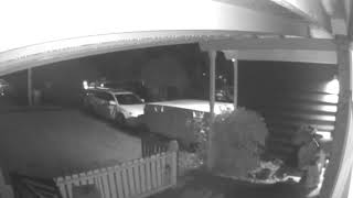 Security video Package thief in lampshade [upl. by Aitnis]