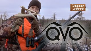 Chasse au cerf de Virginie sur Sépaq Anticosti  QVO saison 8 [upl. by Lucic]