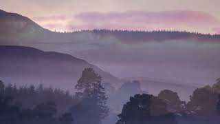 RSPB Nature Reserves  A dawn chorus soundscape [upl. by Wagshul935]