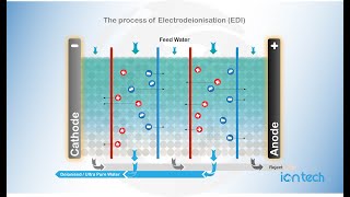 The process of Electro Deionisation EDI Iontech Animated [upl. by Ruffin194]