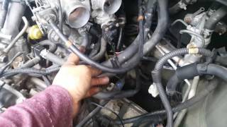 Camshaft position sensor bank 1 LEXUS RX300 AWD 1999 [upl. by Lapotin]