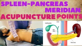 SPLEEN PANCREAS MERIDIAN ACUPUNCTURE POINTS [upl. by Krystyna8]