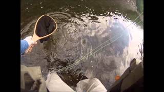 Nick Fly Fishing  Beaverkill River NY  Small Mouth amp The Sunny  Sept 2014 [upl. by Hospers265]