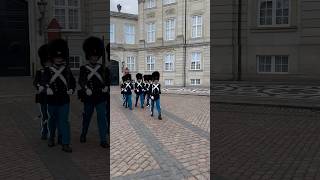 The Royal Guards Amalienborg Copenhagen see linked video for more royalguards royal castle [upl. by Arihk]