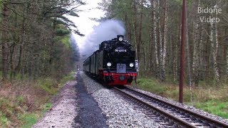 Eisenbahn 2012 25 Dampfloks  Steam Trains  Züge [upl. by Atteyram]