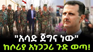 Syria  ሶሪያ ሌላ ማአት ወረደባት ተረክ ሚዛን Salon Terek [upl. by Quirk25]