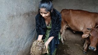 देखिए दोस्तो मेरा पुराना घर  Sujata sawariya vlog  dailyvlog vairalvideo [upl. by Enneiviv330]