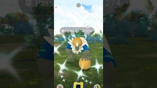 Shiny Passimian in Pokémon GO pokemongo [upl. by Casey]