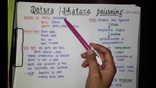 Datura poisoning  deliriant poisoning  forensic medicine amp toxicology [upl. by Cran]